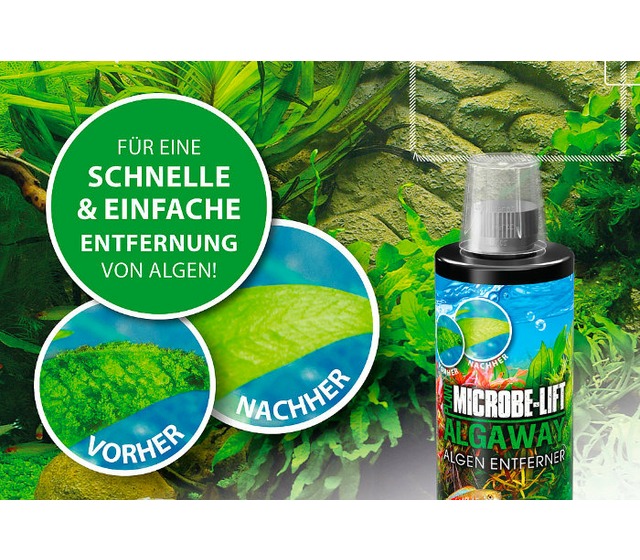 Dieses Bild zeigt die Vorteile von Arka Algaway