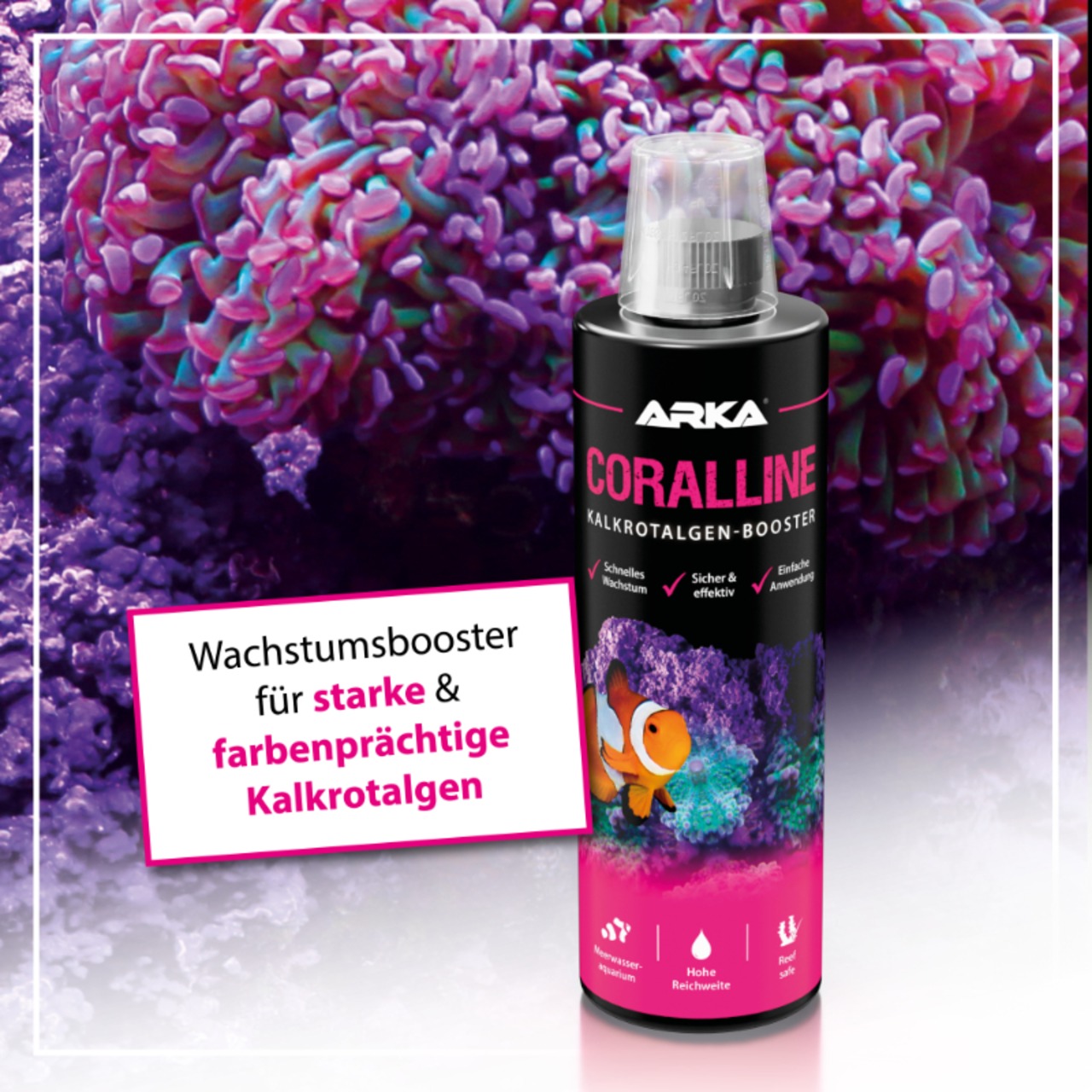 Arka Coralline Kalkrotalgen + 236ml