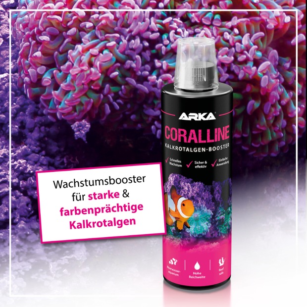 Arka Coralline Kalkrotalgen + 236ml