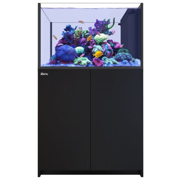 Red Sea REEFER Peninsula 350 G3