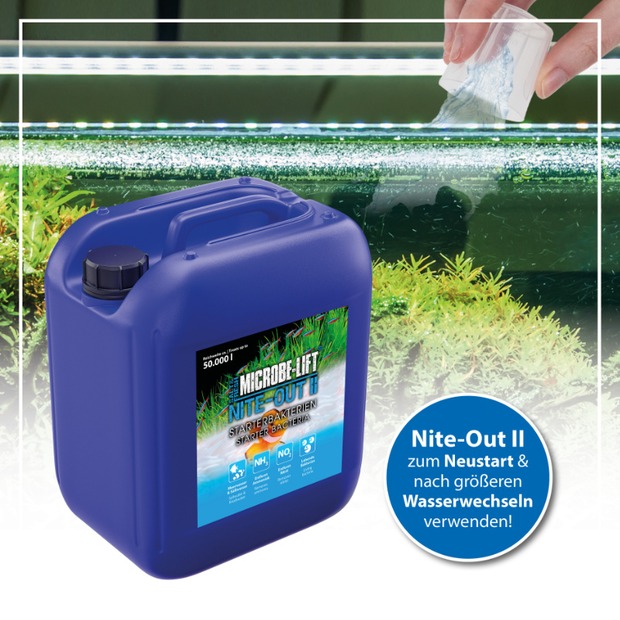 Arka Nite-Out II - Starterbakterien 5 L