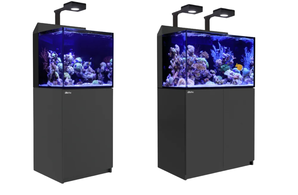 Die Max Nano Systeme