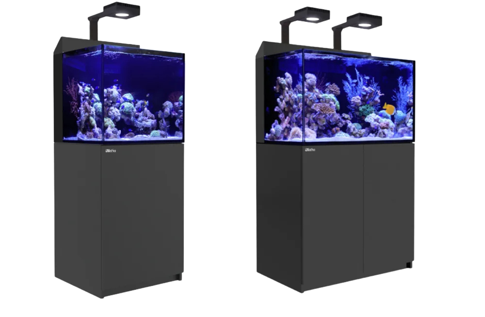 Die Ausf&uuml;hrungen der MAX E-Serie