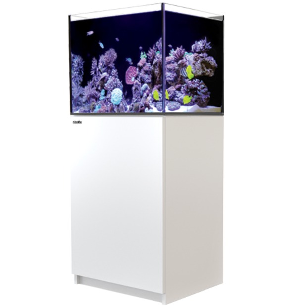 Red Sea Reefer 170 G3+ weiss