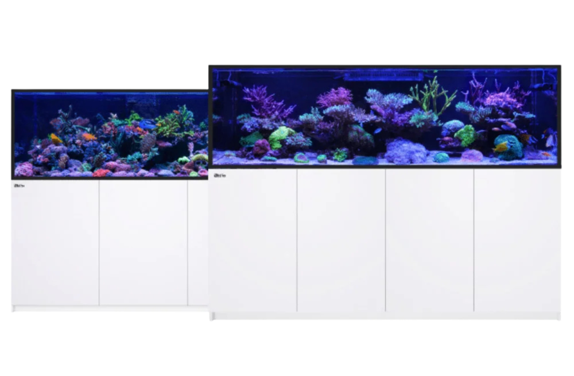 red-sea-reefer-s-varianten