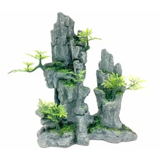 Aqua Della High Rock 2