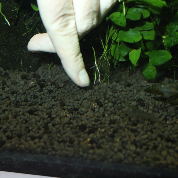 JBL Die 7 + 13 Kugeln Wurzeldünger