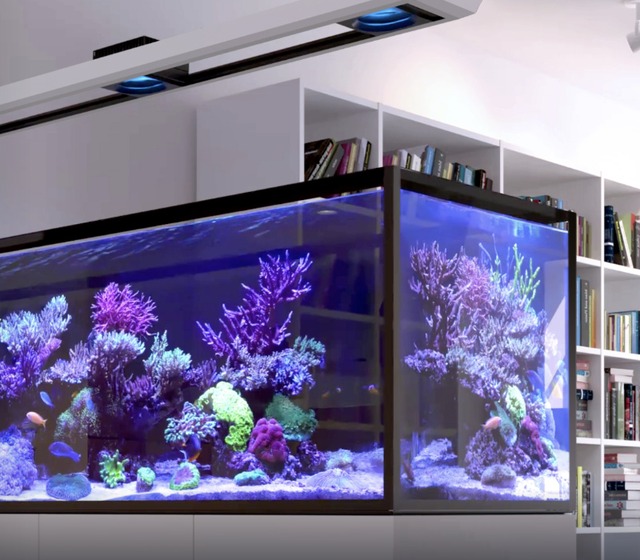 Beinhaltet: ReefLED 160S Beleuchtung