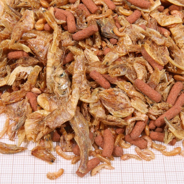 JBL ProTerra Crustarus