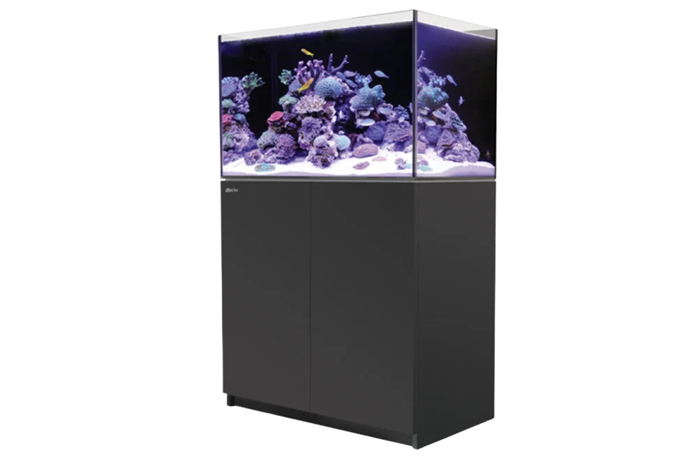 Das REEFer G2 im eleganten Anthrazit-Design