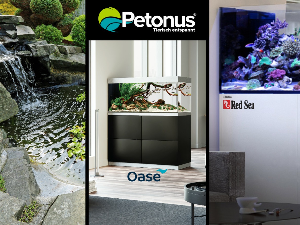 Über uns petonus.at