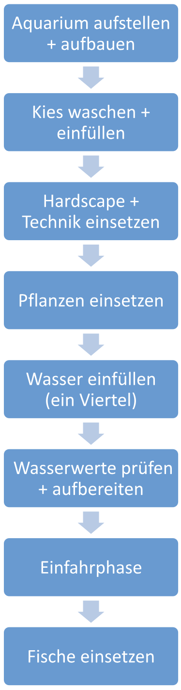 Grafik: Schritt f&uuml;r Schritt Anleitung Aquarium einrichten