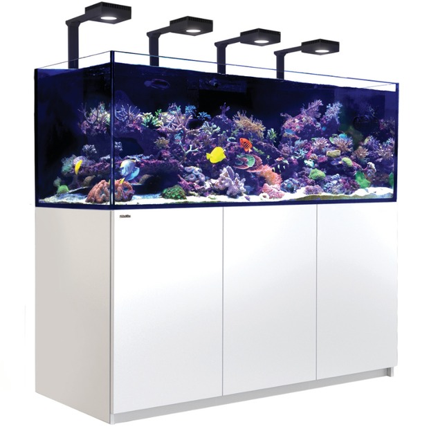 Red Sea REEFER MAX G3