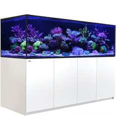 Red Sea Reefer-S 1000 G3 weiss