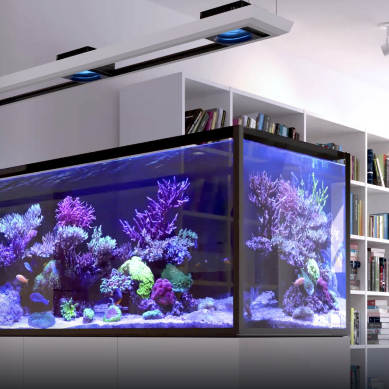 Red Sea REEFER MAX Peninsula S-700 G3