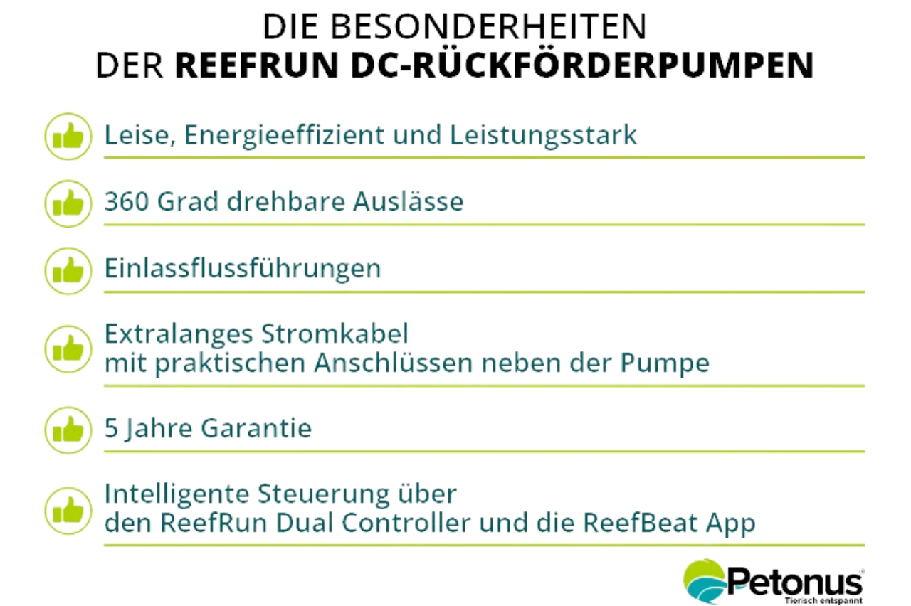 Die Besonderheiten der Reefrun DC