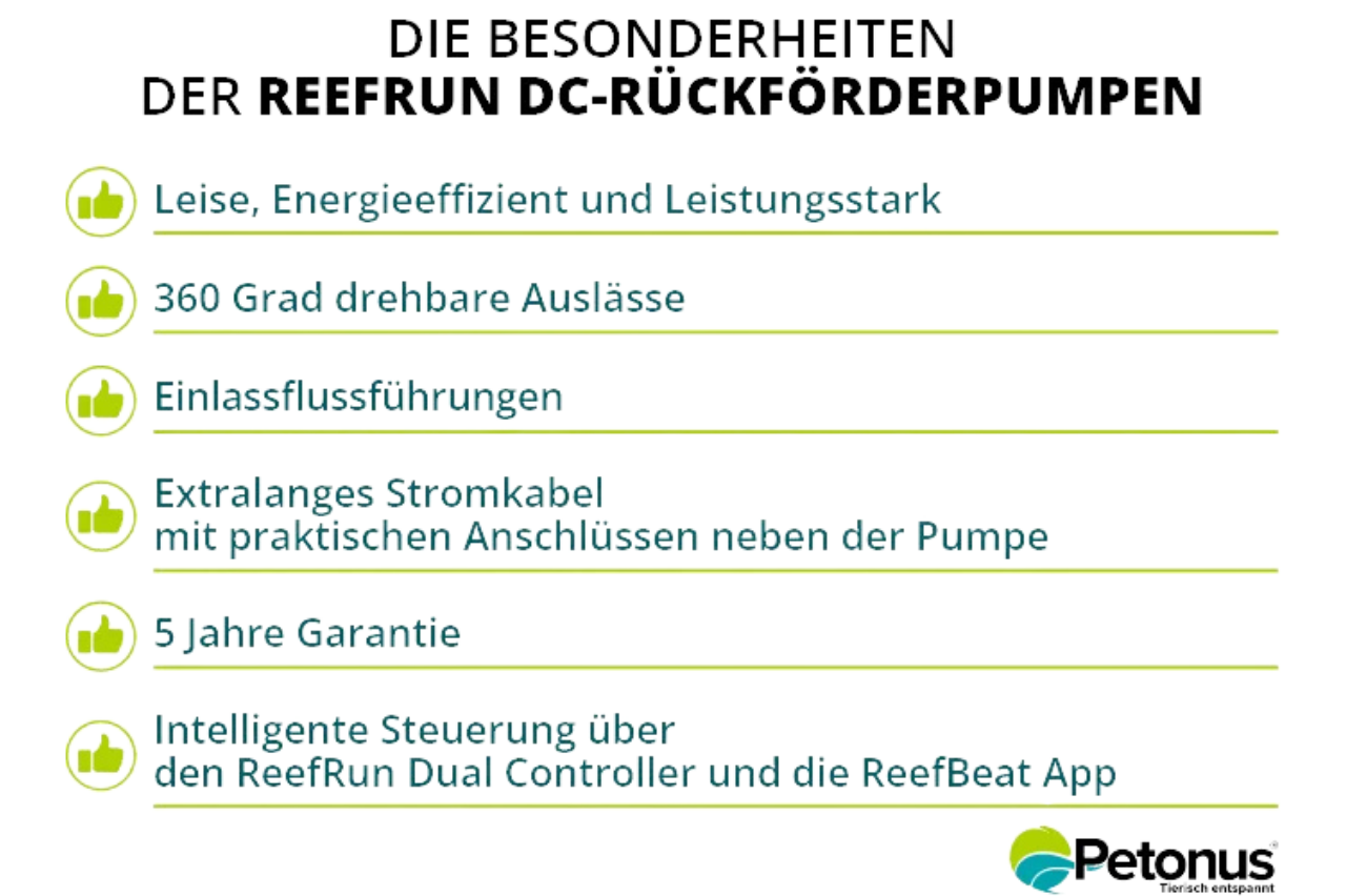 Die Besonderheiten der Reefrun DC