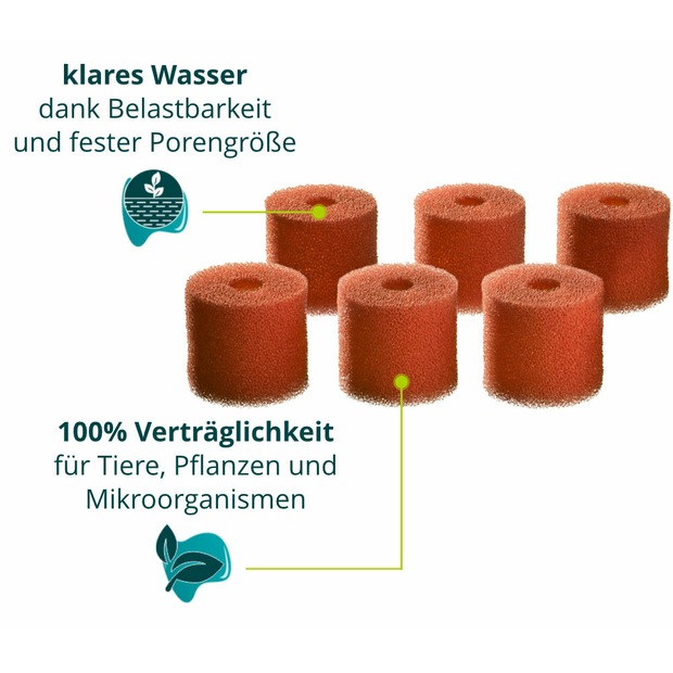Oase Vorfilterschaum Set 6