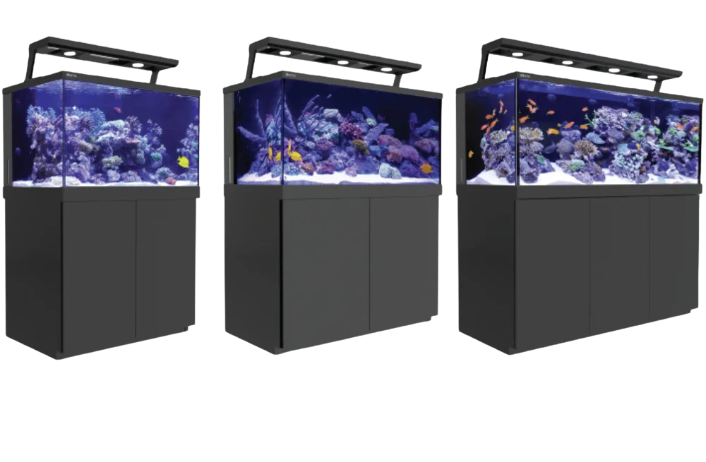 Die Ausf&uuml;hrungen der MAX S-Serie