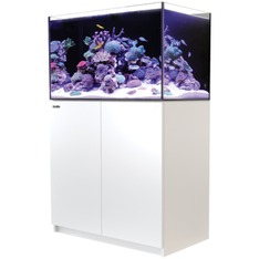 Red Sea Reefer 300 G3 weiss