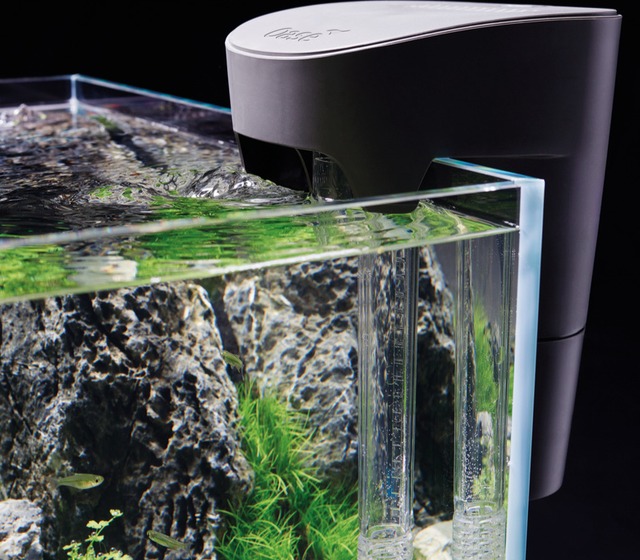 Elegant und gradlinig