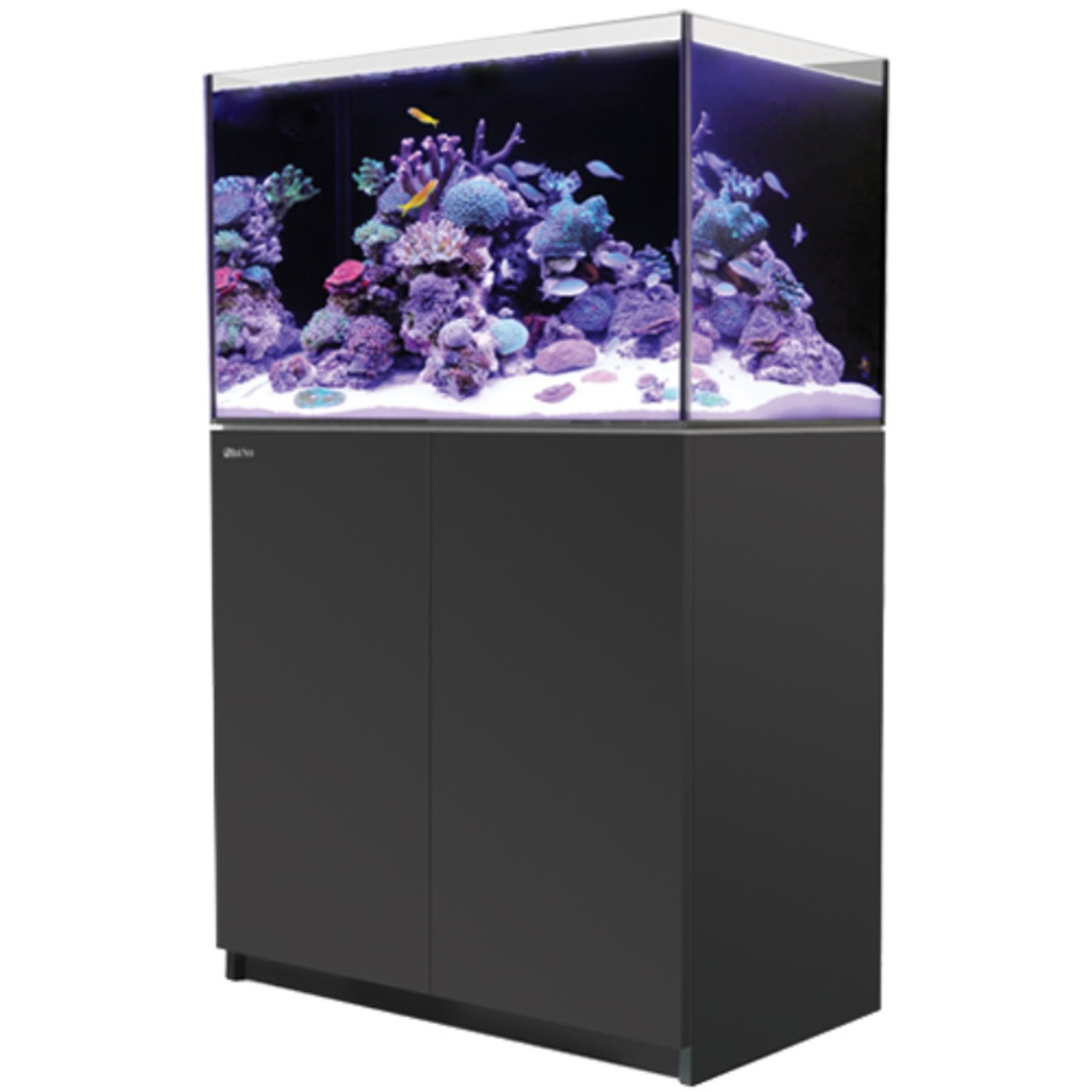Red Sea Reefer 250 G3 schwarz