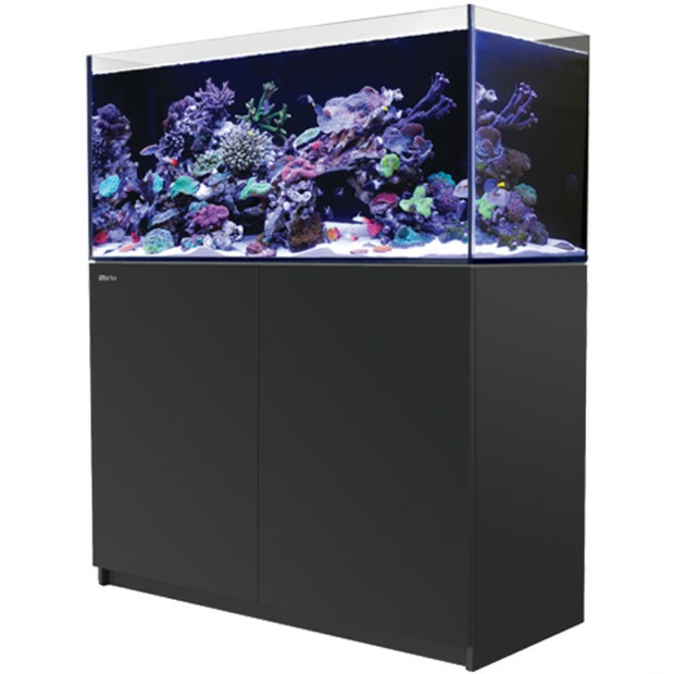 Red Sea Reefer 425 G3 schwarz
