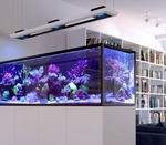 Bild von Meerwasseraquarium Komplettset 🐟 Test & Empfehlung