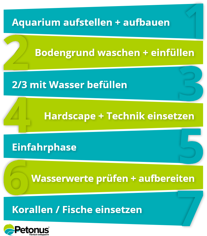 Schritt für Schritt Anleitung Meerwasseraqaurium
