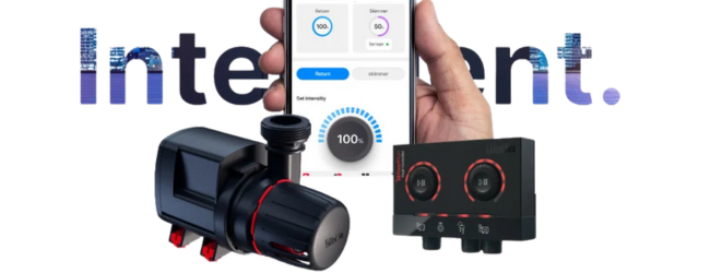 reefrun-dc-pumpe-von-red-sea