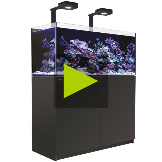 Red Sea Reefer 425 G3+ Deluxe schwarz