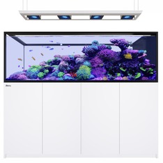 Red Sea REEFER MAX Peninsula S-950 G3