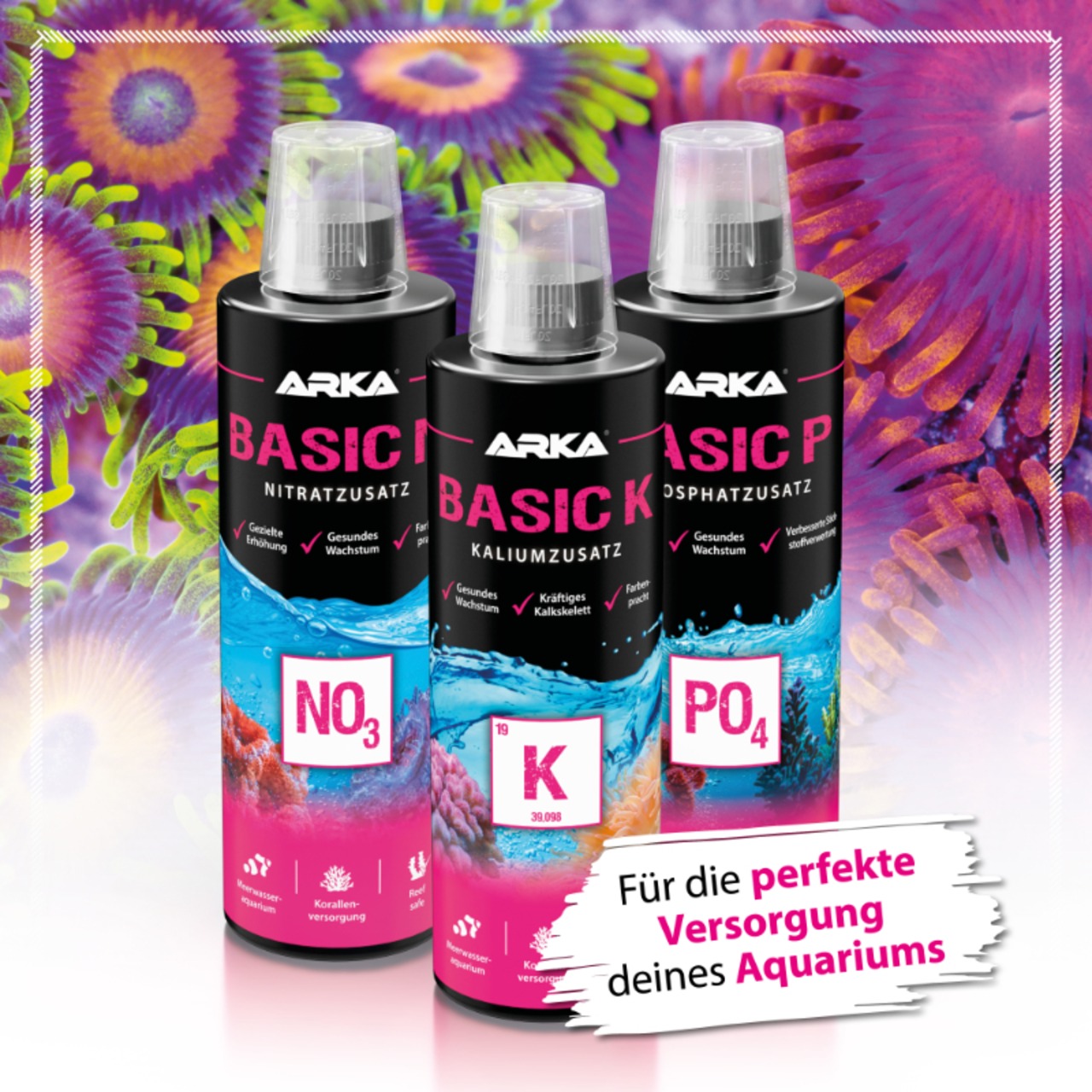 Arka Basic K