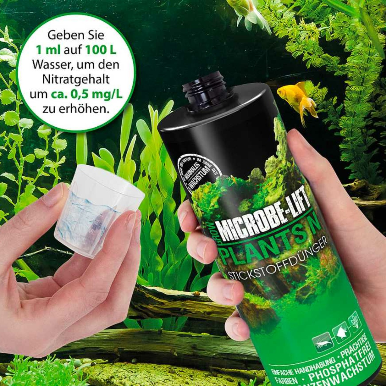 Arka Plants N