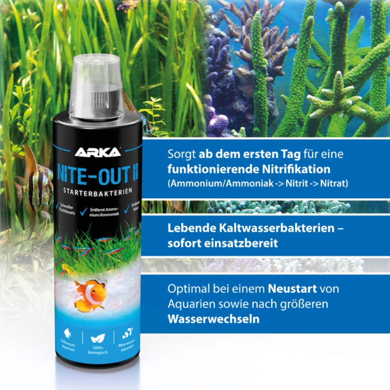 Arka Nite-Out II 473ml