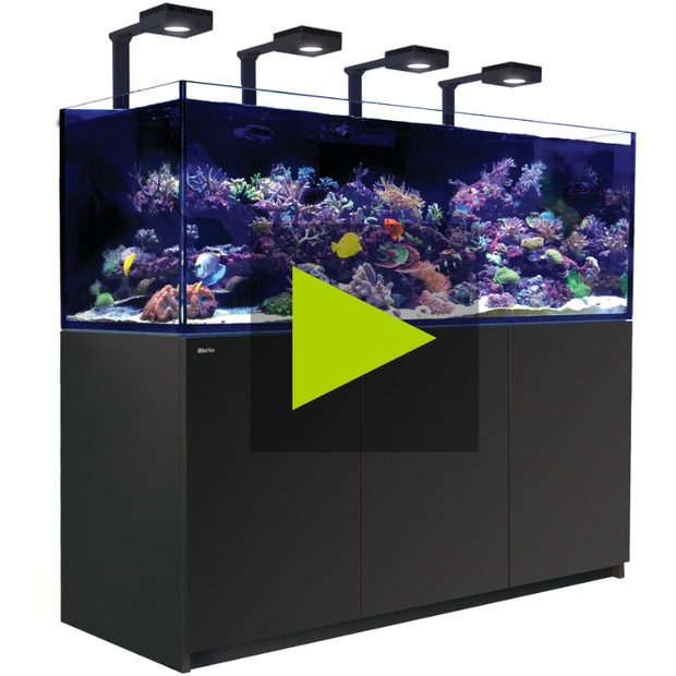 Red Sea Reefer 750 G3+ Deluxe schwarz