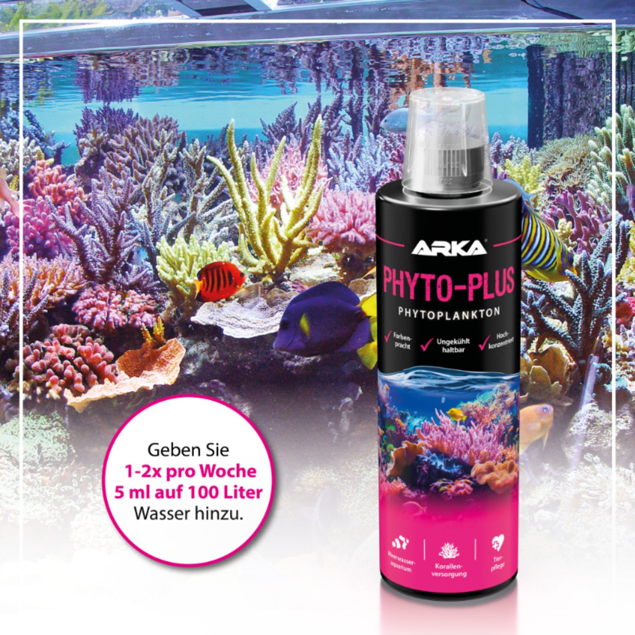 Arka Phytoplankton 236ml