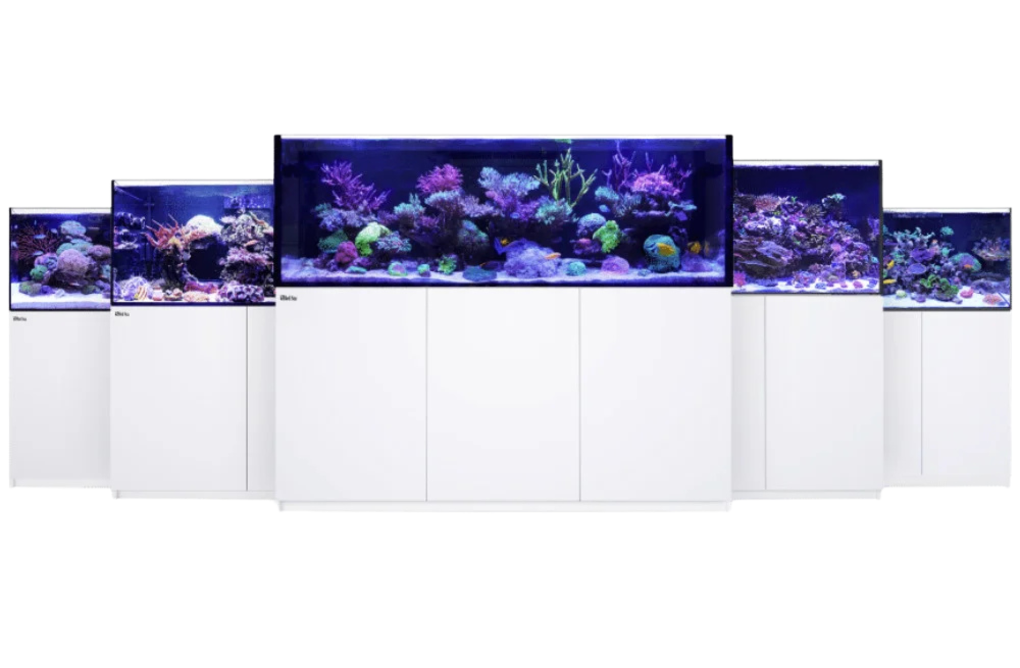 reefer-g2-modelle