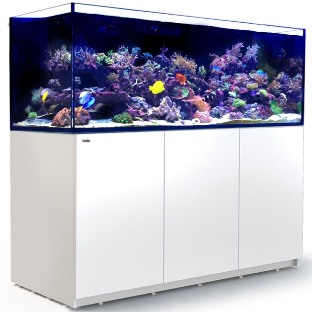 Red Sea Reefer 750 G3 weiss