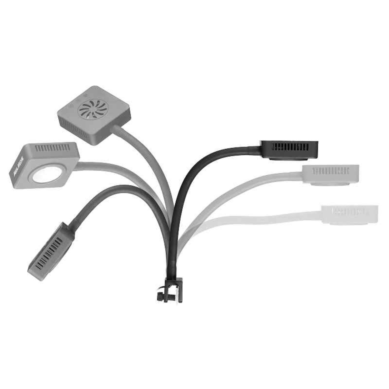 Aqua Medic Qube Plant