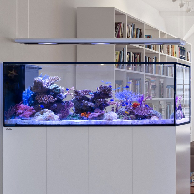 Red Sea REEFER Peninsula 500 G3+