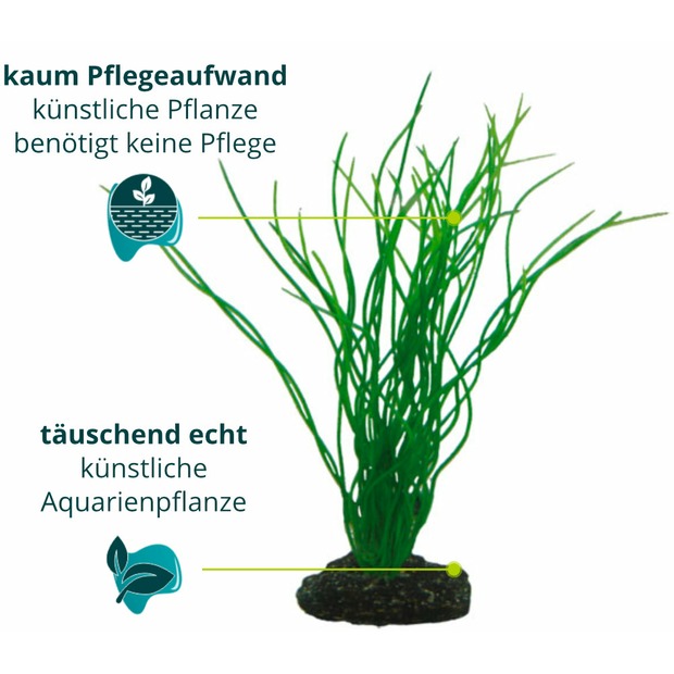 Hobby Sagittaria 20 cm