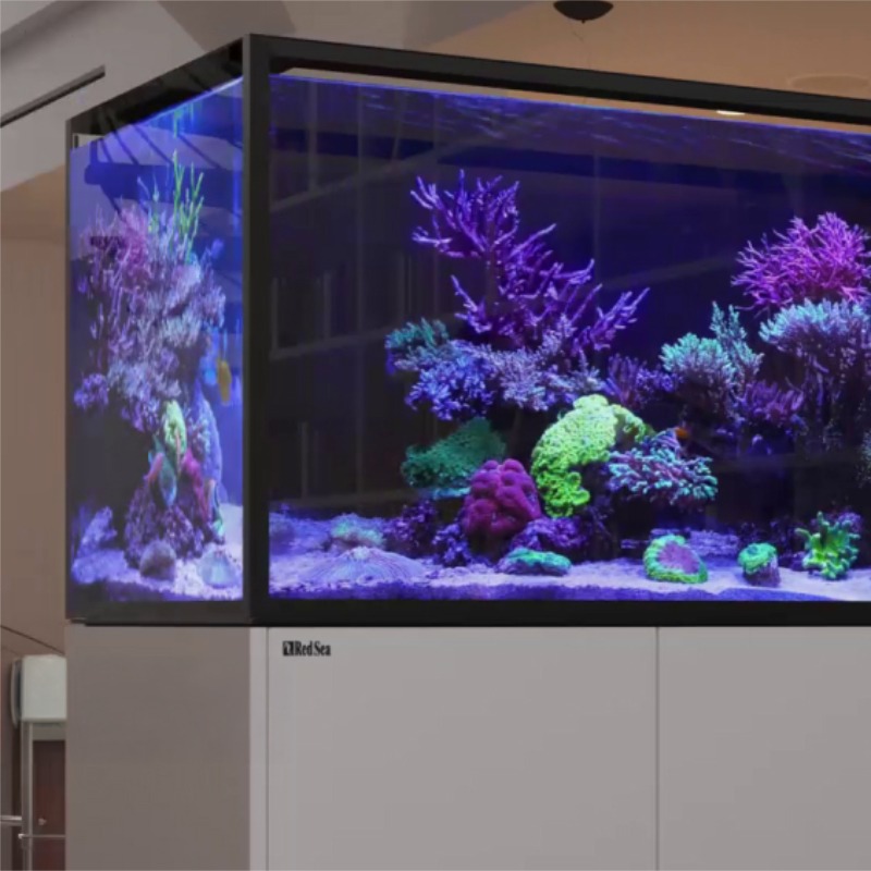 Euroverstrebte Aquarien Reefer Peninsula