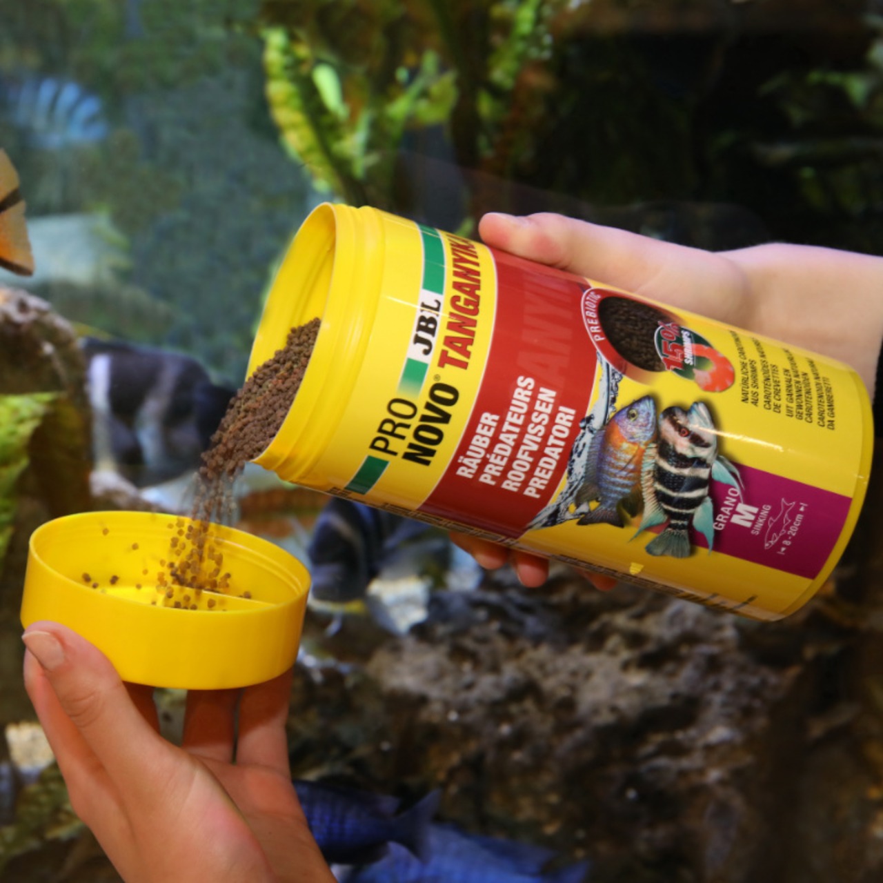 JBL ProNovoTanganika Grano M 250ml CLICK