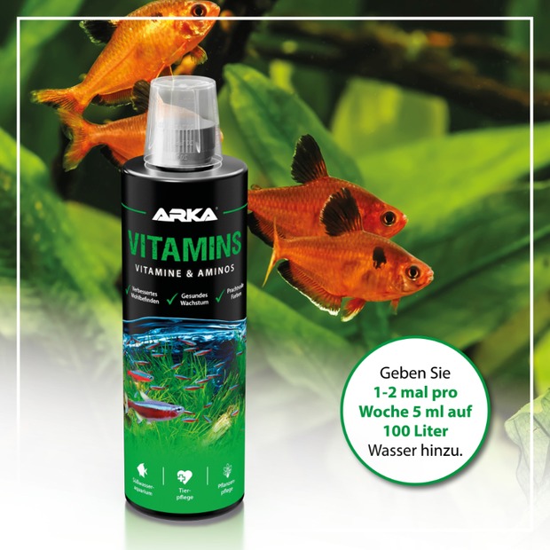 Arka Vitamine & Aminos 236ml