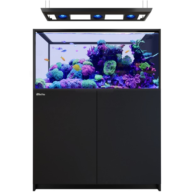 Red Sea REEFER MAX Peninsula 500 G3