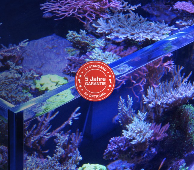Red Sea Reefer Aquarium Klarglas