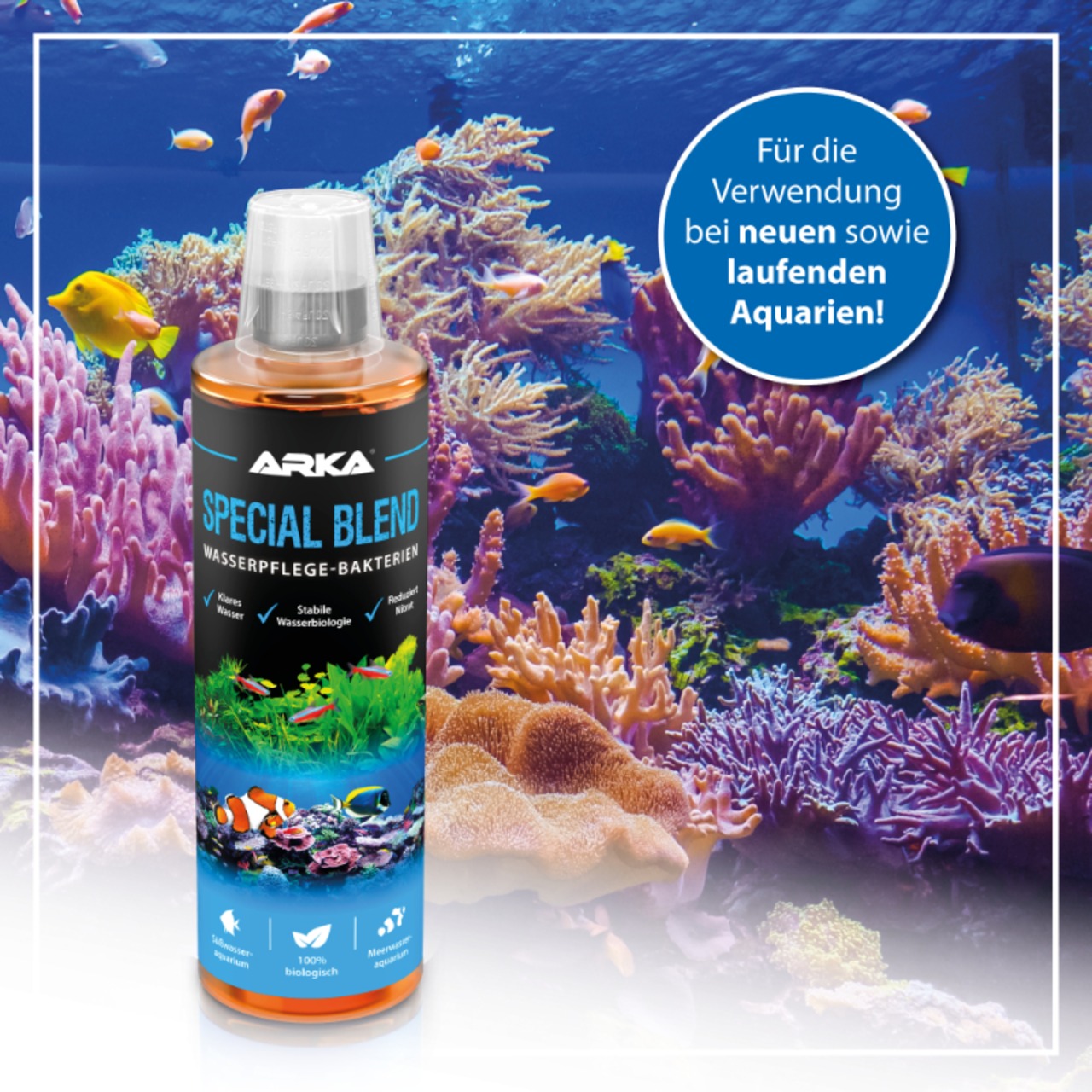 Arka Special Blend Pond