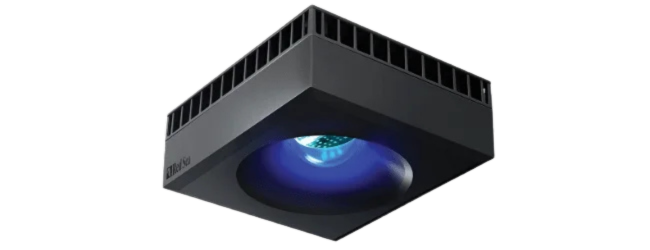 red-sea-reefled-beleuchtung