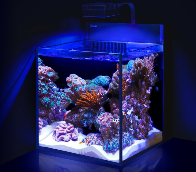 durchdachtes Concept